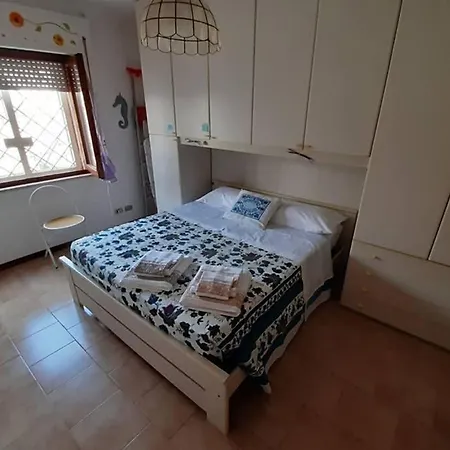 La Casa Delle Conchiglie *