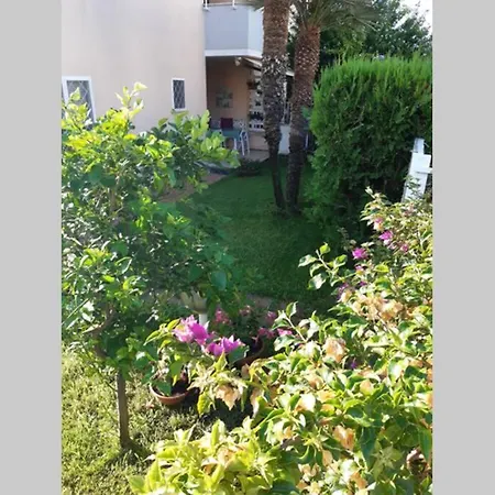 La Casa Delle Conchiglie *