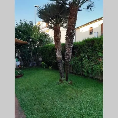 La Casa Delle Conchiglie